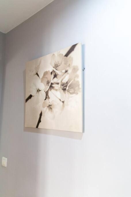 Pasquin Apartment กาดิซ ภายนอก รูปภาพ