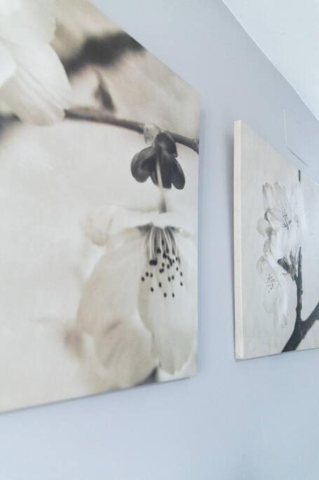 Pasquin Apartment กาดิซ ภายนอก รูปภาพ